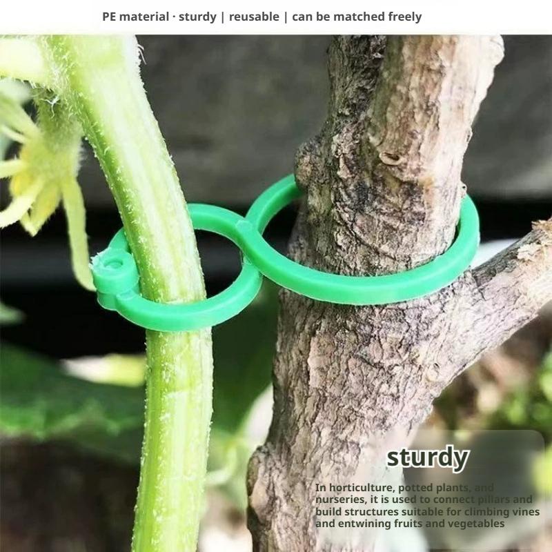 100 Adet Bitki Destek Klipsler - Vine Climbing Plastic incelemesi ve fiyatı